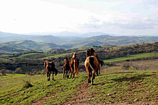 Italy-Tuscany-Explorer Rides in Tuscany